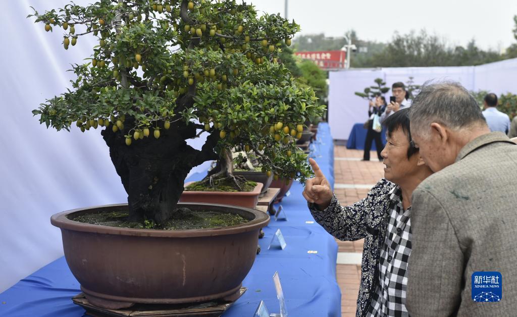 正规赌场直营